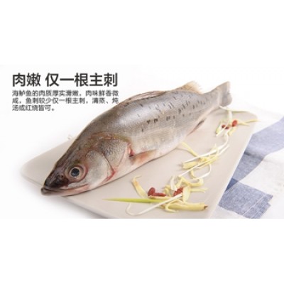 鲈鱼