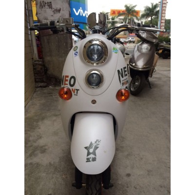 五羊龟王缩小48V