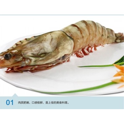 小魔鬼虾