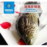 深海珍珠斑