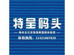 特呈码头